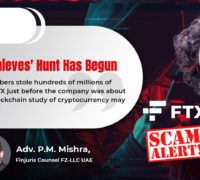 The FTX Thieves